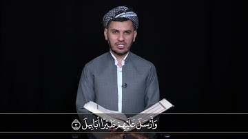 جزء عم سورة الفیل بەشێوەی فێركاری