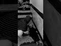 وينشئ ناشئ الفتيان منا على ما كان عوده أبوه اكسبلور Song علم النفس مشاهدات اناشيد وينشئ ناشئ الفتيان منا على ما كان عوده أبوه اكسبلور Song علم النفس مشاهدات اناشيد