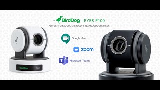 P100 for Zoom, Microsoft Teams, Google Meet screenshot 1