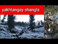 Shangla yakhtangay snow fallfarman ullah pardise