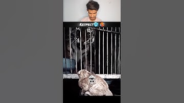 How Others Use Time Warp Scan Vs Last One💀🔥/ #sigma #sigmamale #sigmarulesigma #trending