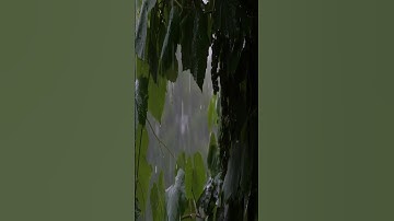 من مقاصد سورة الليل - همسات 274
