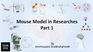 Mouse model in research (part 1)