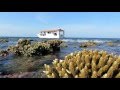 Djl divecamp pulau moyo indonesia
