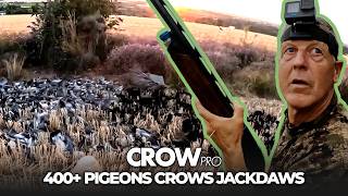 400+ Bird Mixed Bag: Pigeons, Crows & Jackdaws with Andy Crow | CROWpro EP30