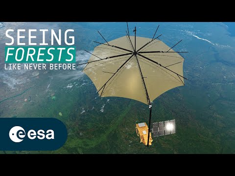 The satellite that sees through forests | Biomass mission