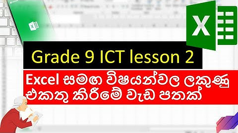 Grade 9 ICT lesson 2 | විද්‍යුත් පැතුරුම්පත් | how to work with  Excel