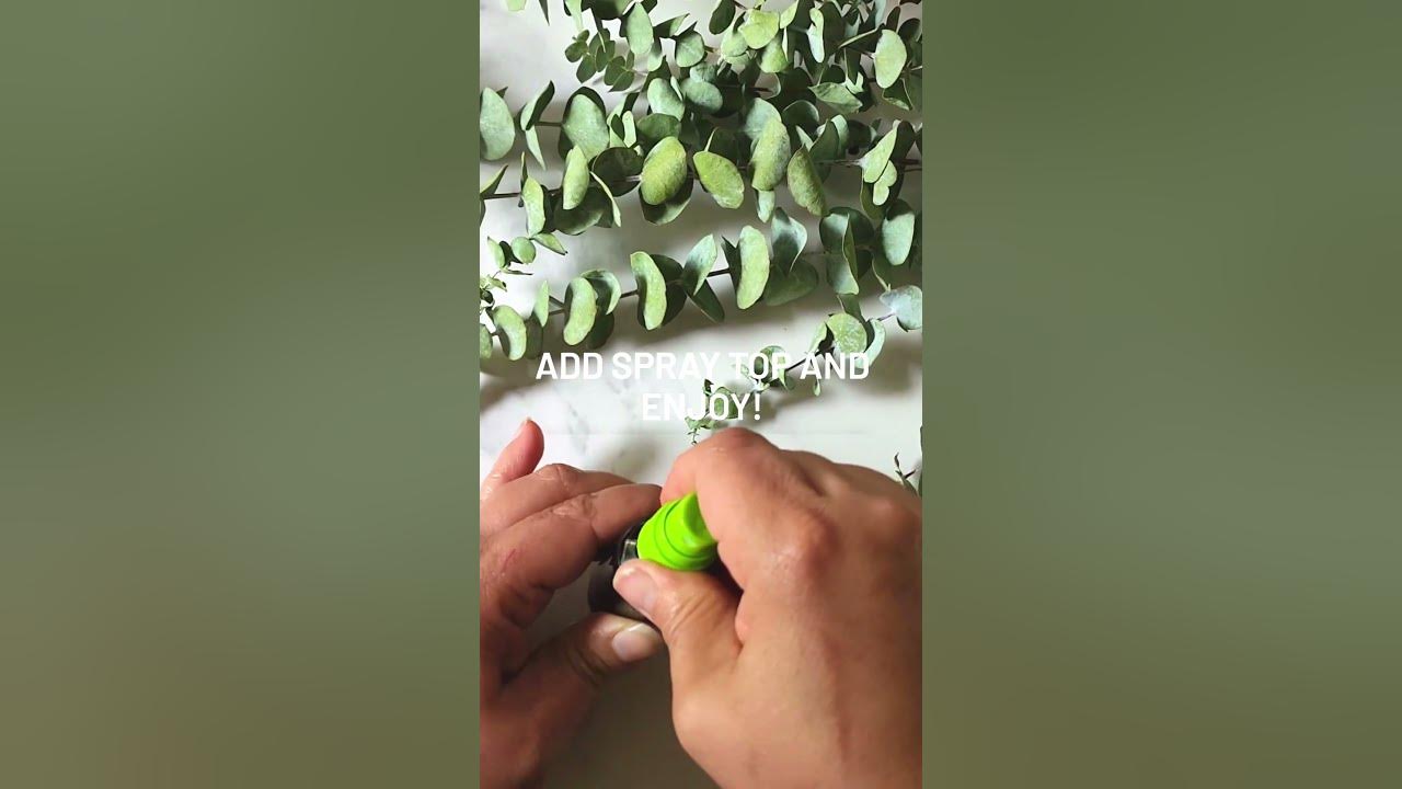 DIY Eucalyptus Shower Spray YouTube