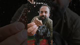 I m sitting on Pluto eating giant chocolate crunch @LukeDidThat #food #cereal #funny #moon #puppy