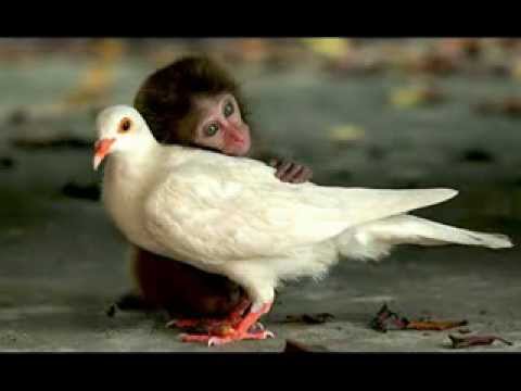 The Reason I'm Sending You A Greeting Card...LOVE