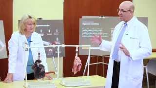 Dr. Robbin Cohen Presents The Healthy Lung Vs The Smokers Lung