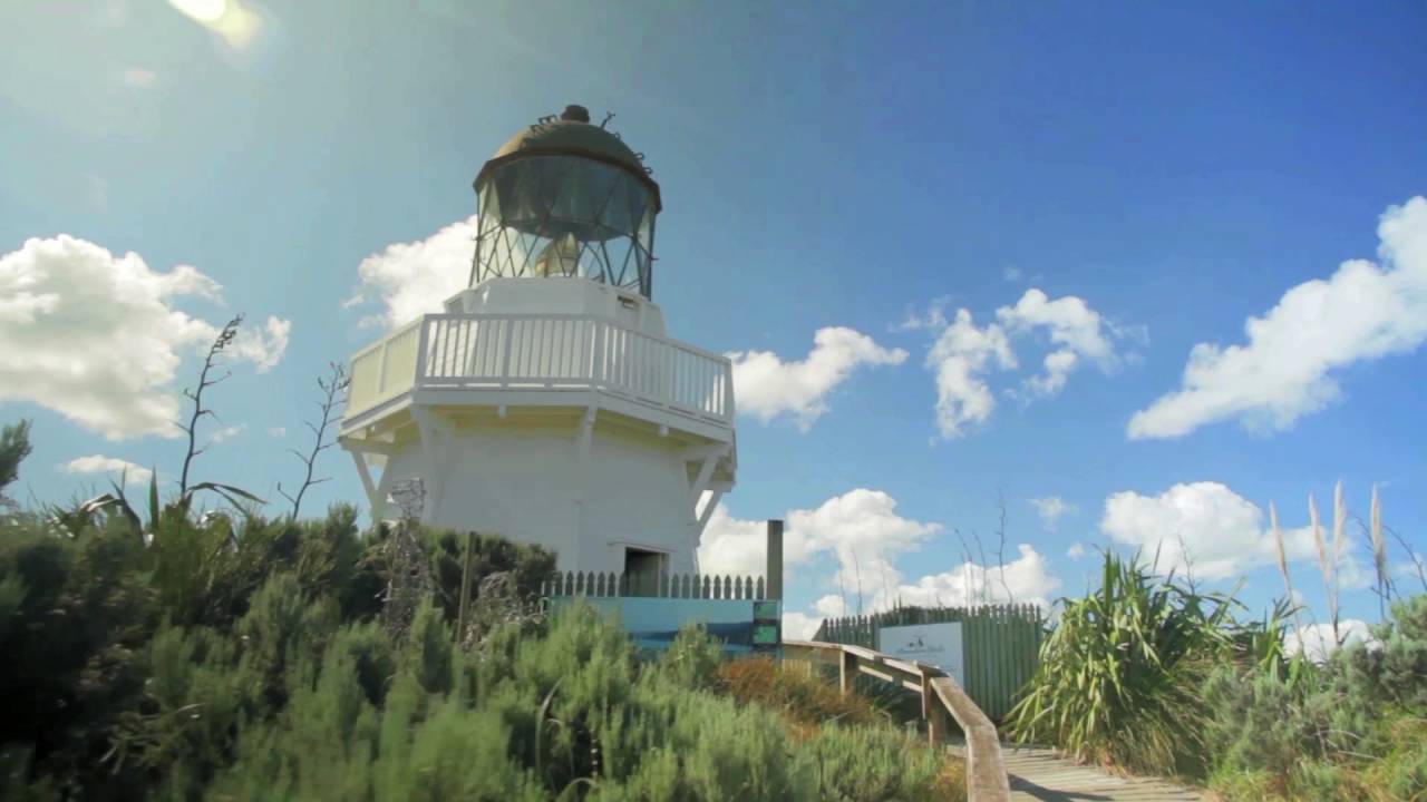 flights to el nido Auckland Sight UnScene | Expedia