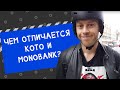 Какие кредиты мы будем выдавать в Британии. Чем Кото отличается от Монобанка