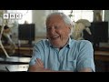 T-rex vs pliosaur 🦖 | Attenborough and the Giant Sea Monster - BBC