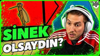 Sivrisinek Olarak Doğsaydın? Tepki̇ Rraenee