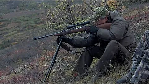 Hunting Alaska's Giant Moose