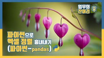 파이썬으로 엑셀 정렬 흉내내기(pandas)