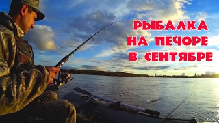 РЫБАЛКА НА ПЕЧОРЕ. СПИННИНГ. СЕНТЯБРЬ 2016. FISHING ON THE RIVER PECHORA IN SEPTEMBER.