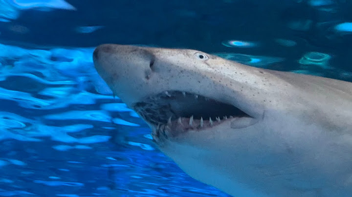 A Song for You Drums version - Drums performance video thumbnail