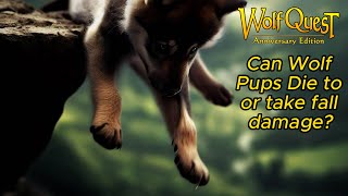 Can Wolf Pups Die To, Or Take Fall Damage???