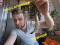 Ролл с огромной креветкой