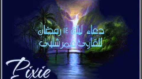 دعاء ليلة 14 رمضان للقارئ عمر شلبى.wmv