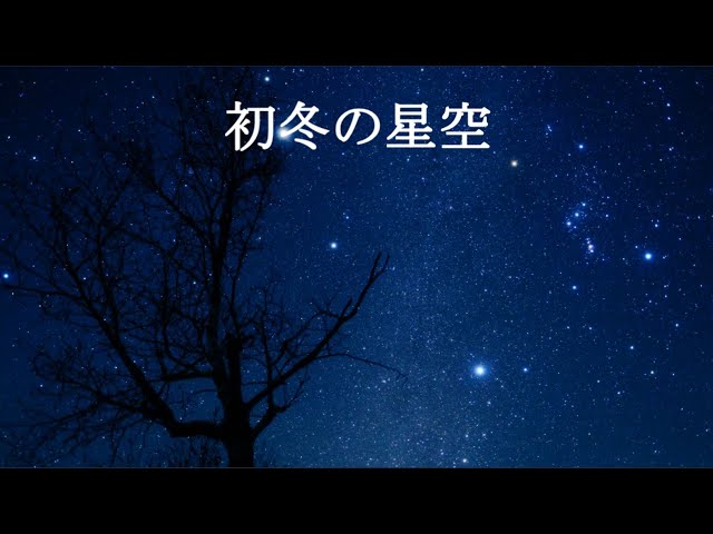 初冬の星空（SONYα7SⅢリアルタイム星空動画） - YouTube