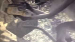 Cod ghost Easter egg angry monkey