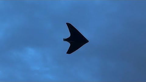 Hand Launched Twin 50mm Horten Wing 🤯 Most efficient aircraft I’ve flown… ever