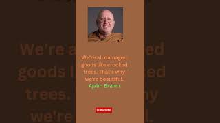 Relax mind meditation Quotes | Ajahn Brahm life quote