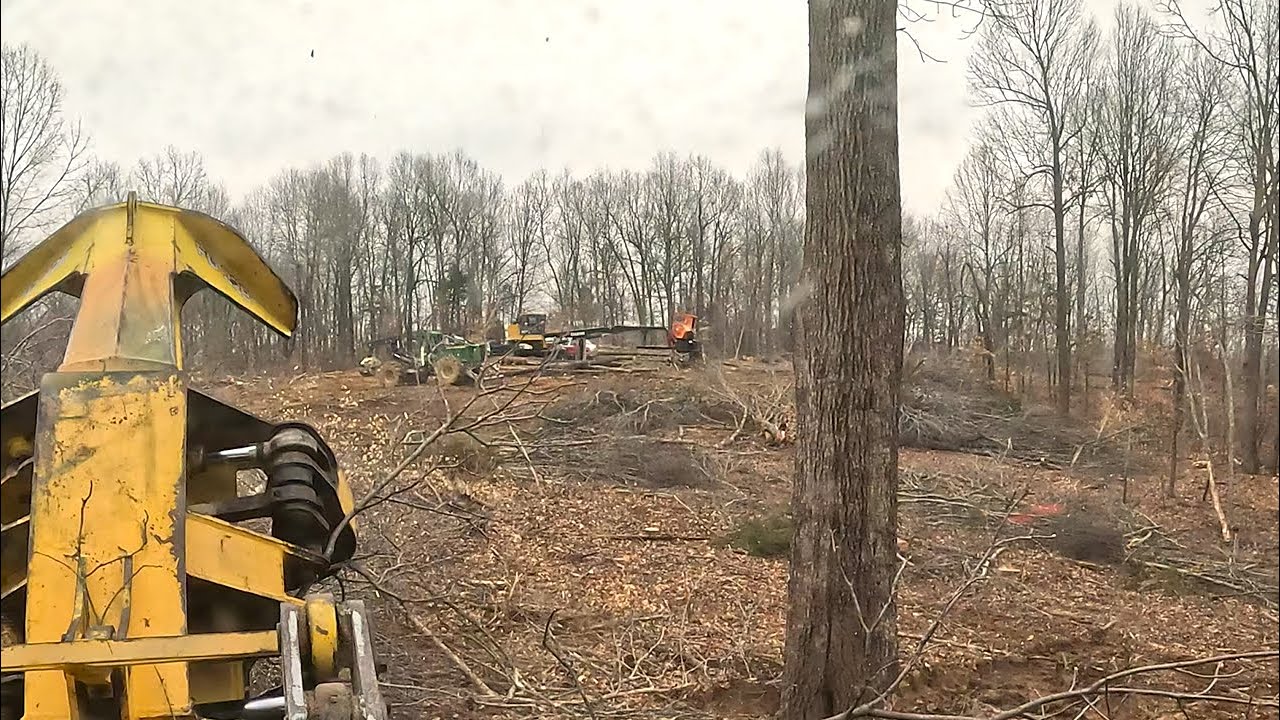 Clear cutting farm with feller buncher - YouTube