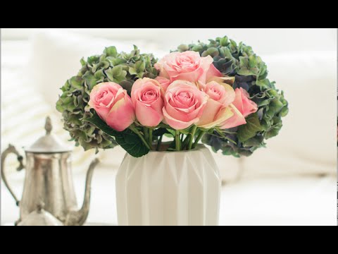 Video: So Lagern Sie Schnittrosen