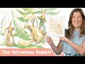  the velveteen rabbit  read aloud picture book  brightly storytime