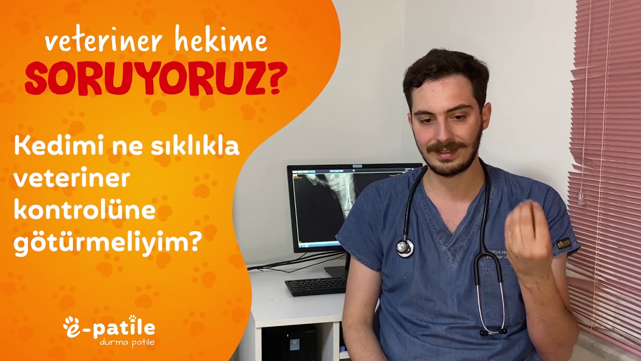 vitrinbet Ne Sıklıkla Belge İstiyor