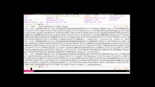 Famous Archive: Automatic Intrusion Recovery with System-wide History Wealth