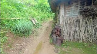 Jalan jalan di pedesaan