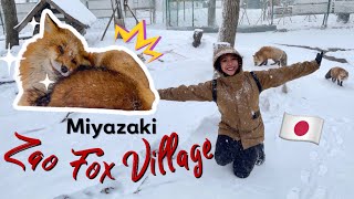 หมู่บ้านสุนัขจิ้งจอก 🦊 แห่ง มิยากิ! Zao Fox Village . [ 蔵王キツネ村 ] 🇯🇵