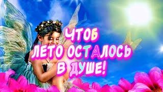 С последним днем лета🕊️#прощайлето #музыкальнаяоткрытка