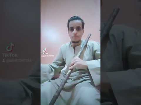 كوميدي الراجل خلف تلاته عيال سمى كل واحد فيهم على على الفنان فنان القاضي الصعيد يا دولي