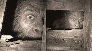 The NEW Clearest Bigfoot Footage YOU Haven’t Seen!
