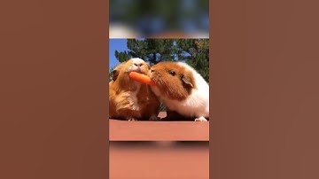 Thumbnail of Hilarious Guinea Pig Steals Food! #Shorts