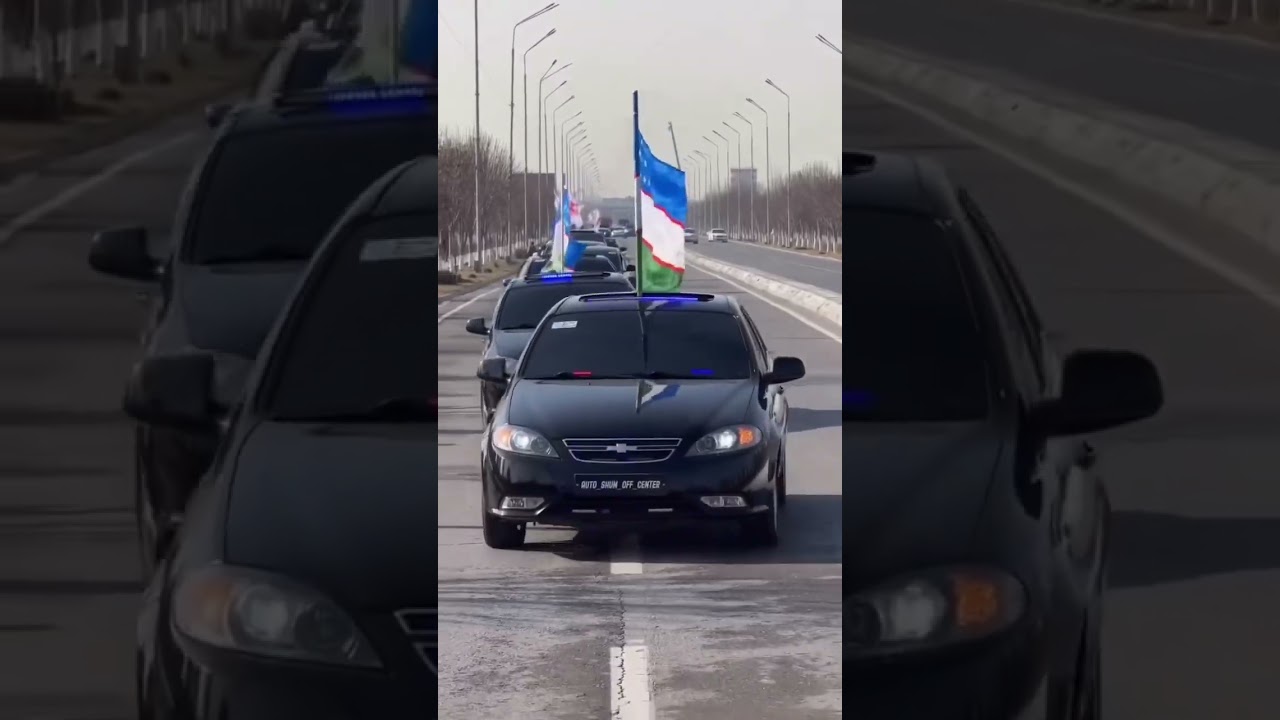 Gentra чёрная акула 