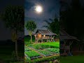 pemandangan alam suasana malam