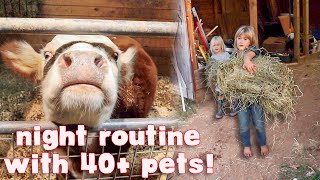 WINTER HOBBY FARM NIGHT ROUTINE! // Mini Cow, Horse, 37 Chickens, & More!