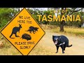 Lap Of Tasmania A Crazy Solo Journey And A Rescue Story 