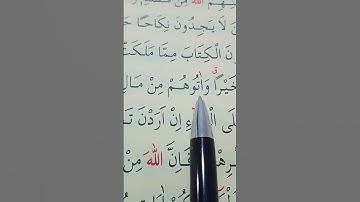 سورة النور الأية 33 بصوت سعد الغامدي