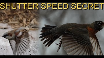 Does Shutter Speed Matter For Slow Motion?