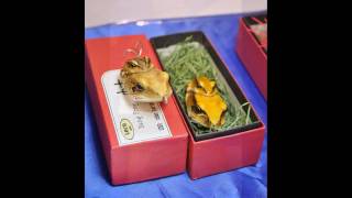ワンダーフェスティバル2009