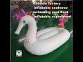 China Factory Inflatable Seahorse Mount Float China Factory Inflatable Seahorse Mount Float