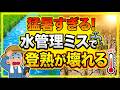 【大損】水管理を一歩間違えると大ダメージ！？猛暑に勝つ登熟期の正しい水の入れ方